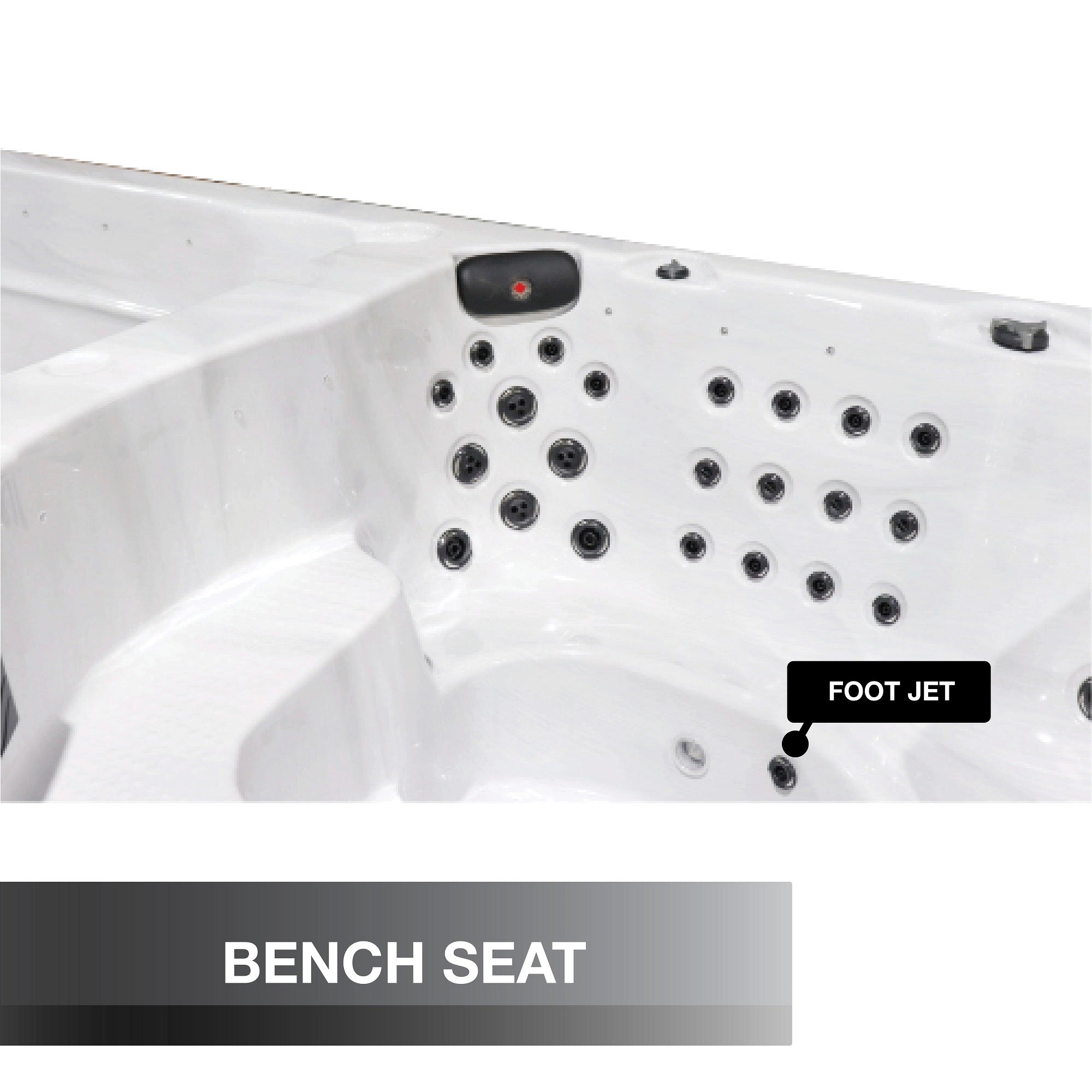 St. Lawrence Swim Spa, 20ft 17-Person, 73 Hydrotherapy Jets , 3 River Jets, 54 inches deep, KS-10029, 847028001547